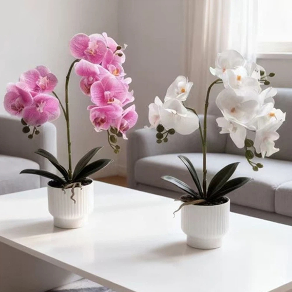 Orchid Phalaenopsis - กล้วยไม้ผีเสื้อจำลองแบบหลายดอก DIY กระถางดอกไม้สีขาว ต้นไม้ปลอม ดอกไม้ประดิษฐ์ กล้วยไม้ประดิษฐ์