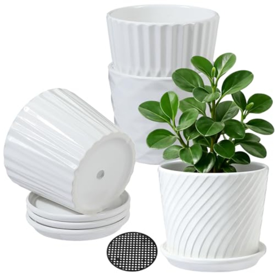 Snake Plant Ceramic - กระถางต้นไม้ - กระถางเซรามิกรูปทรงกระบอกพร้อมจานรองในตัว, กระถางสำหรับไม้อวบน้ำและต้นไม้ขนาดเล็ก, ชุด 4