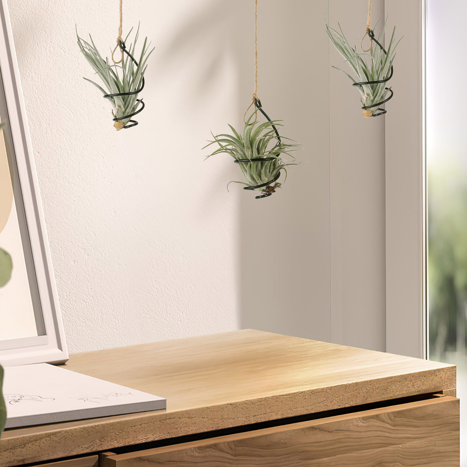 Air Plant Tillandsia - ชุด 12 ชิ้น ที่แขวนต้นไม้ในอากาศแบบโลหะปรับระดับได้ สำหรับปลูกต้นไม้แบบไม่ใช้ดิน ตกแต่งบ้านและสำนักงาน