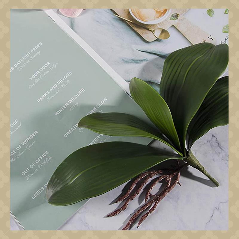 Orchid Phalaenopsis - AB45 กล้วยไม้ Phalaenopsis ใบประดิษฐ์จริง Roots Latex