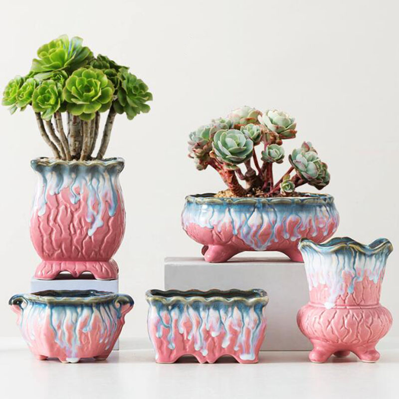 กระถางดอกไม้เคลือบสุดสร้างสรรค - Snake Plant Ceramic บทวิจารณ์และราคา