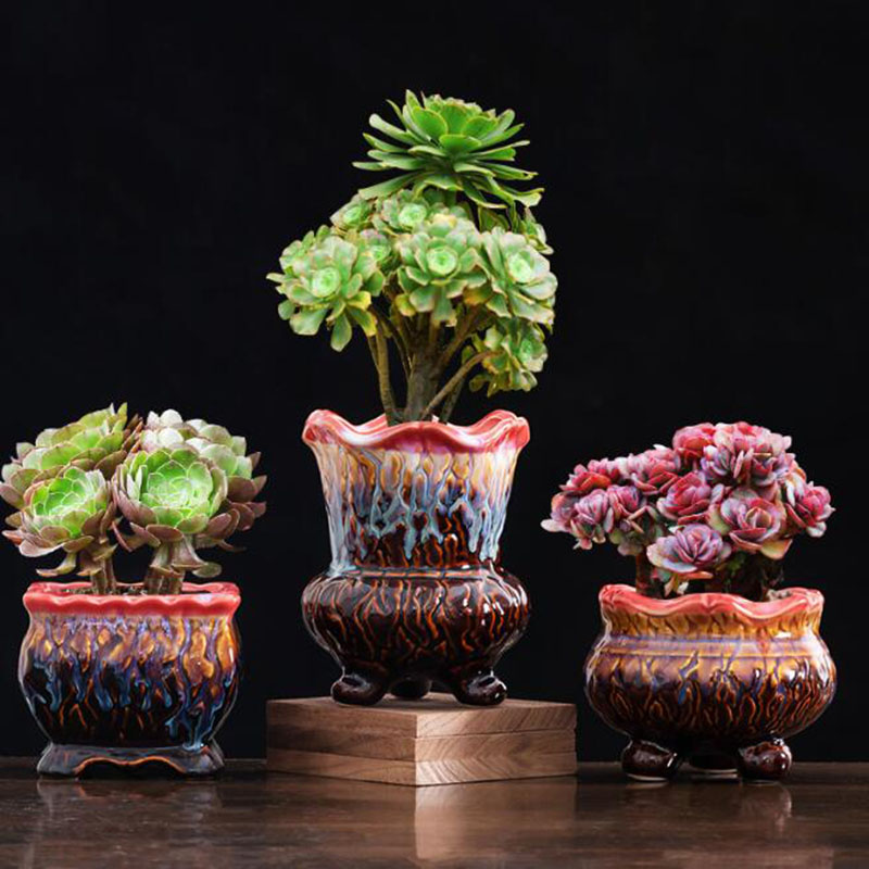 กระถางดอกไม้เคลือบสุดสร้างสรรค - Snake Plant Ceramic บทวิจารณ์และราคา