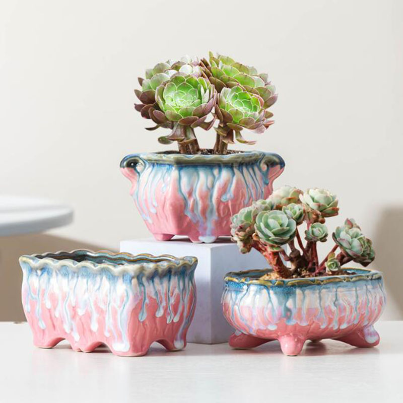 กระถางดอกไม้เคลือบสุดสร้างสรรค - Snake Plant Ceramic บทวิจารณ์และราคา