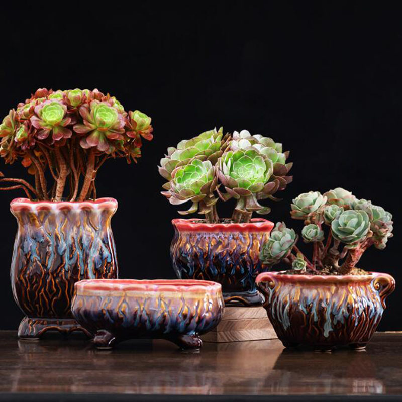 กระถางดอกไม้เคลือบสุดสร้างสรรค - Snake Plant Ceramic บทวิจารณ์และราคา