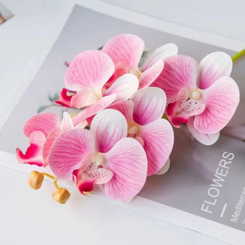 3D ประดิษฐ์ดอกไม้พลาสติก Butte - Orchid Phalaenopsis บทวิจารณ์และราคา
