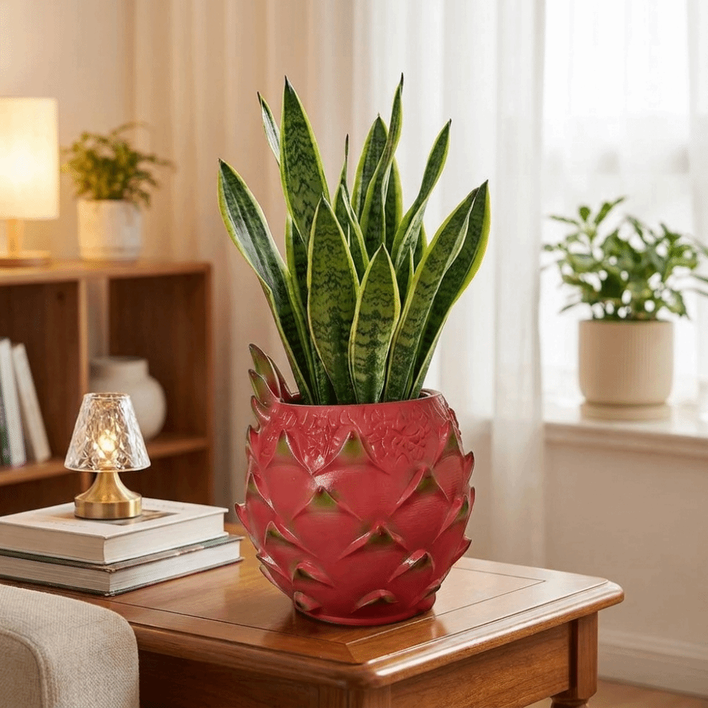 กระถางเรซิ่นรูปผลไม้ ดีไซน์สร้ - Snake Plant Ceramic บทวิจารณ์และราคา