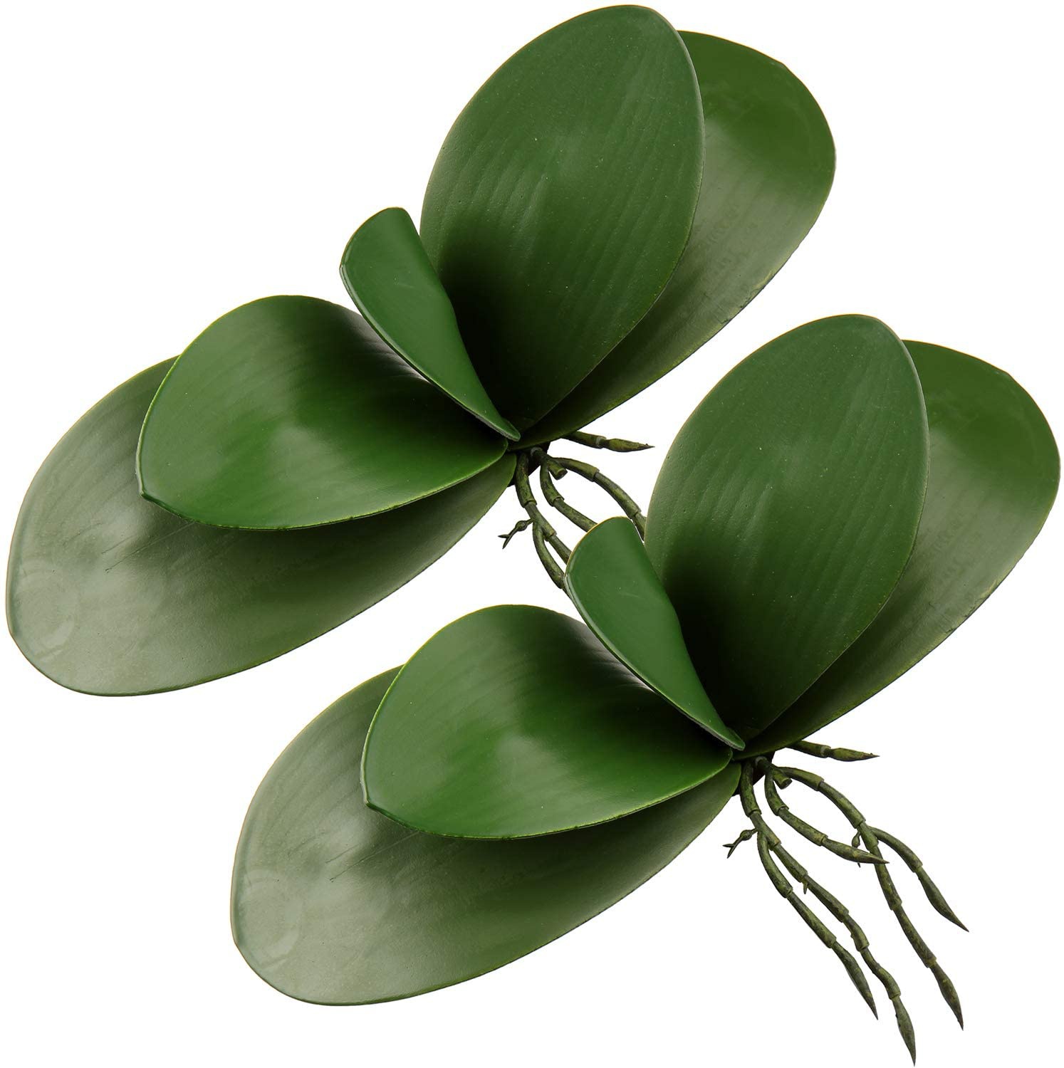 ใบกล้วยไม้เทียมสัมผัสได้จริงพื - Orchid Phalaenopsis บทวิจารณ์และราคา