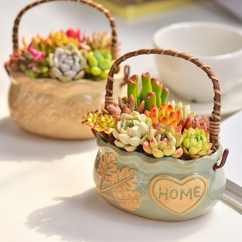 กระถางเซรามิกสไตล์นอร์ดิกสำหรั - Snake Plant Ceramic บทวิจารณ์และราคา