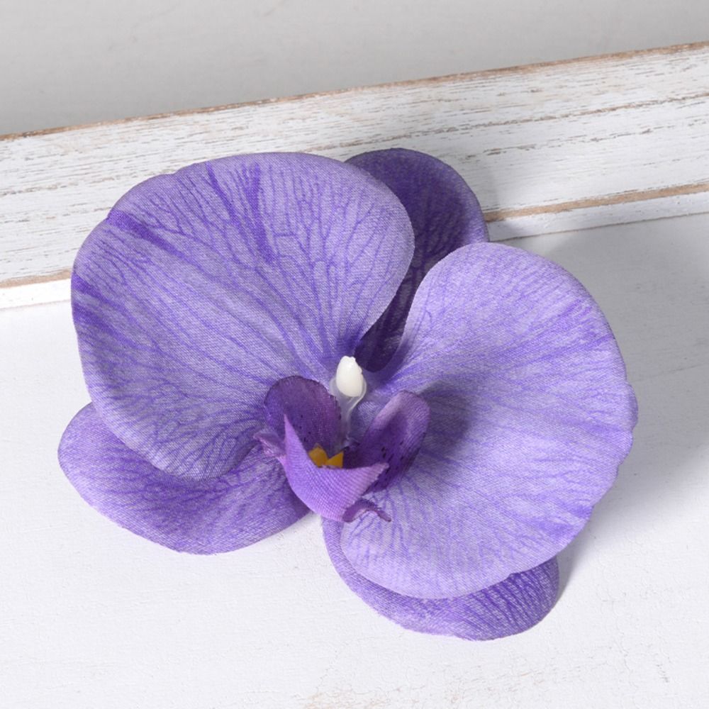 ดอกกล้วยไม้ฟาแลนนอปซิส DIY ทำม - Orchid Phalaenopsis บทวิจารณ์และราคา