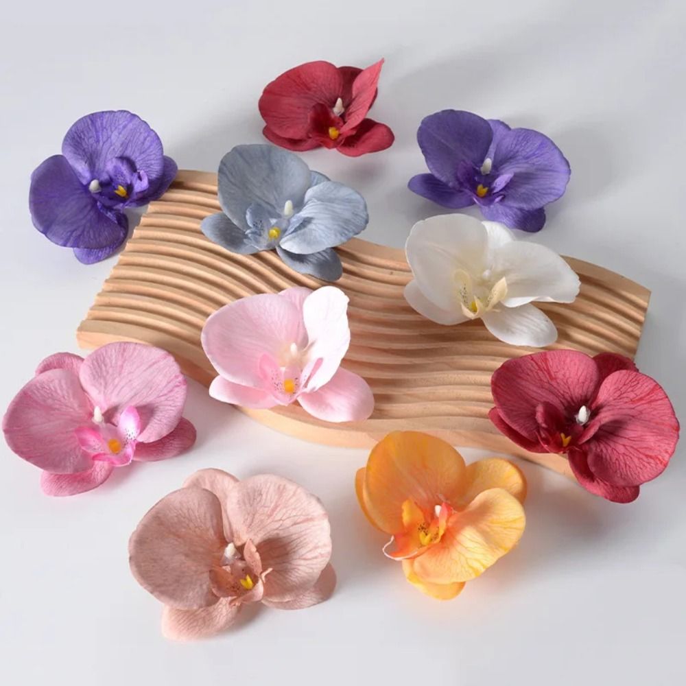 ดอกกล้วยไม้ฟาแลนนอปซิส DIY ทำม - Orchid Phalaenopsis บทวิจารณ์และราคา