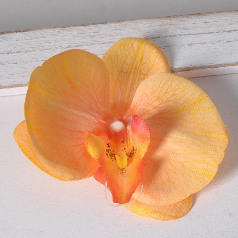 ดอกกล้วยไม้ฟาแลนนอปซิส DIY ทำม - Orchid Phalaenopsis บทวิจารณ์และราคา