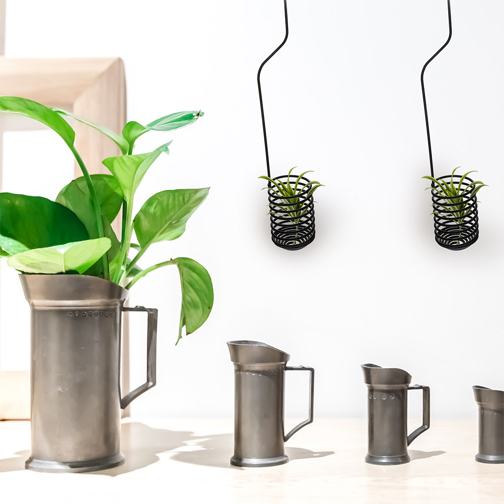ที่แขวนต้นไม้แบบปรับได้ 3 ชิ้น - Air Plant Tillandsia บทวิจารณ์และราคา