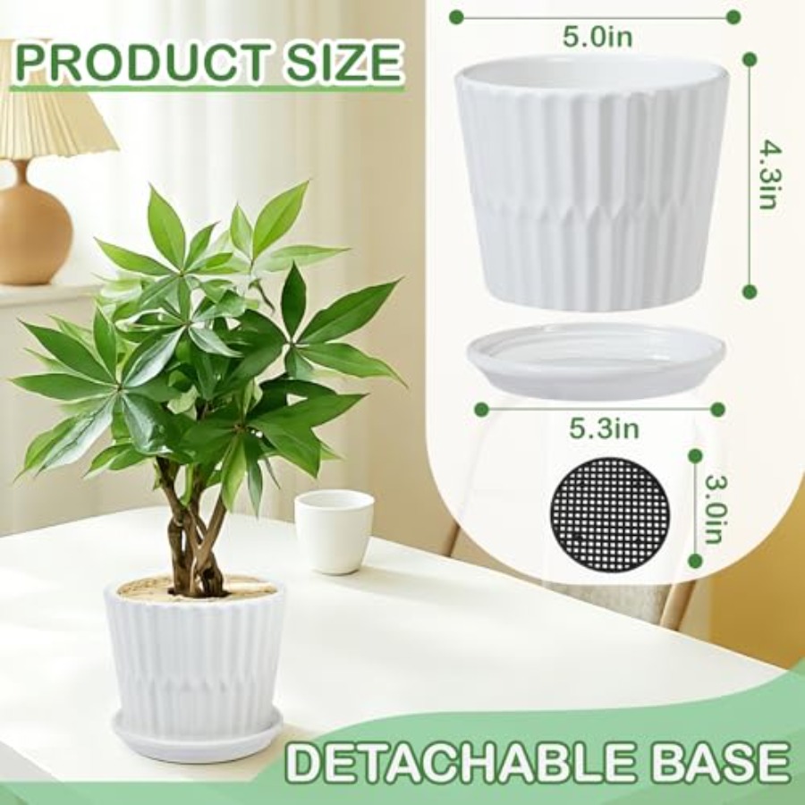 กระถางต้นไม้ - กระถางเซรามิกรู - Snake Plant Ceramic บทวิจารณ์และราคา