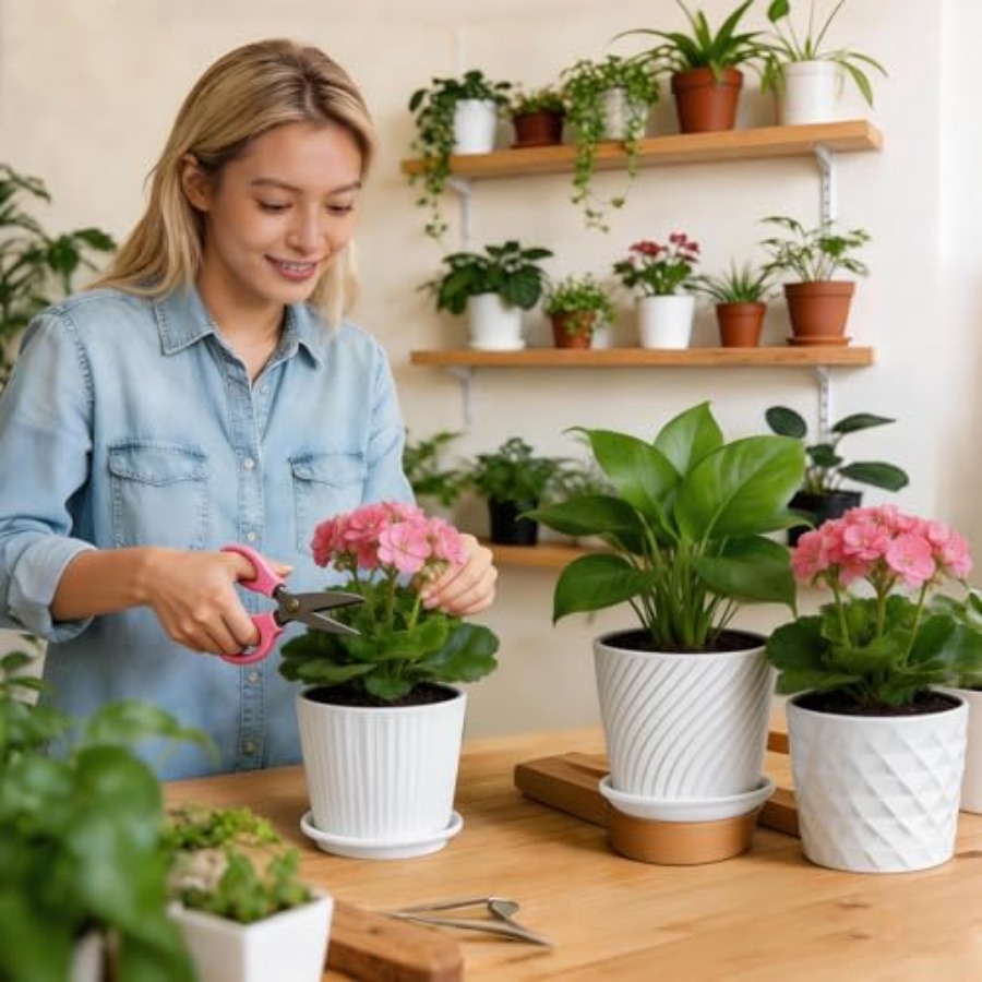 กระถางต้นไม้ - กระถางเซรามิกรู - Snake Plant Ceramic บทวิจารณ์และราคา