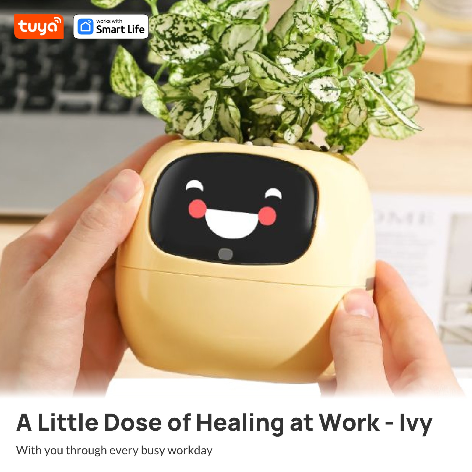 กระถางต้นไม้ AI Planter - ของข - Plant Parent App บทวิจารณ์และราคา