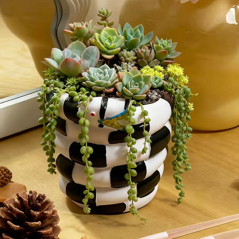 กระถางดอกไม้เรซิ่นรูปงูสีดำและ - Snake Plant Ceramic บทวิจารณ์และราคา