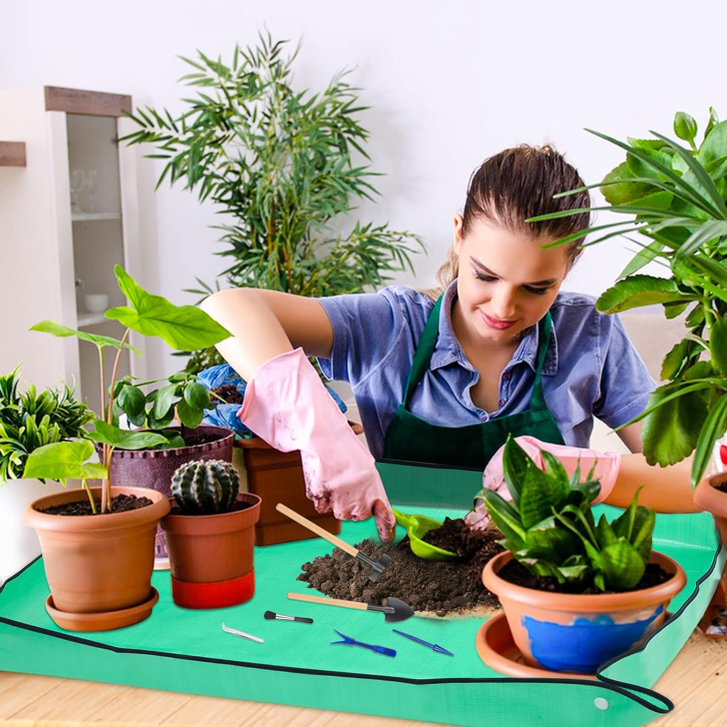 เสื่อรองเปลี่ยนดินสำหรับสวนพรม - Snake Plant Ceramic บทวิจารณ์และราคา