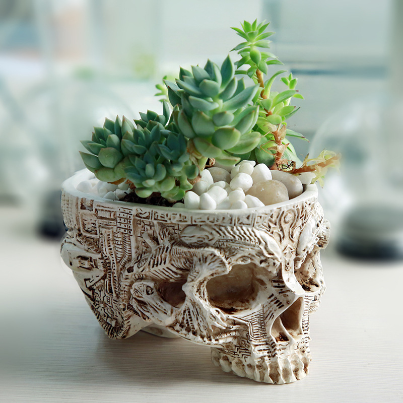 กระถางดอกไม้กะโหลกศีรษะแนวฮาโล - Snake Plant Ceramic บทวิจารณ์และราคา