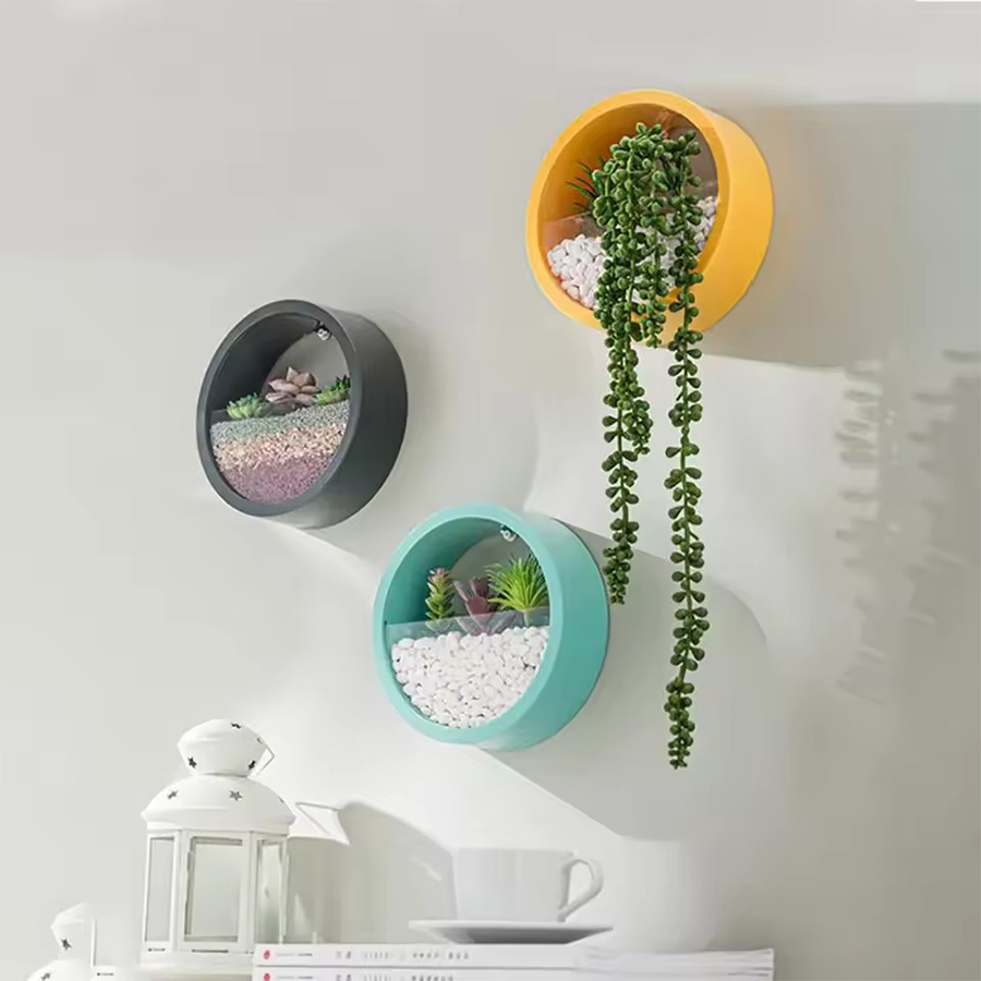 กระถางต้นไม้ติดผนังทรงกลม 3 สี - Snake Plant Ceramic บทวิจารณ์และราคา