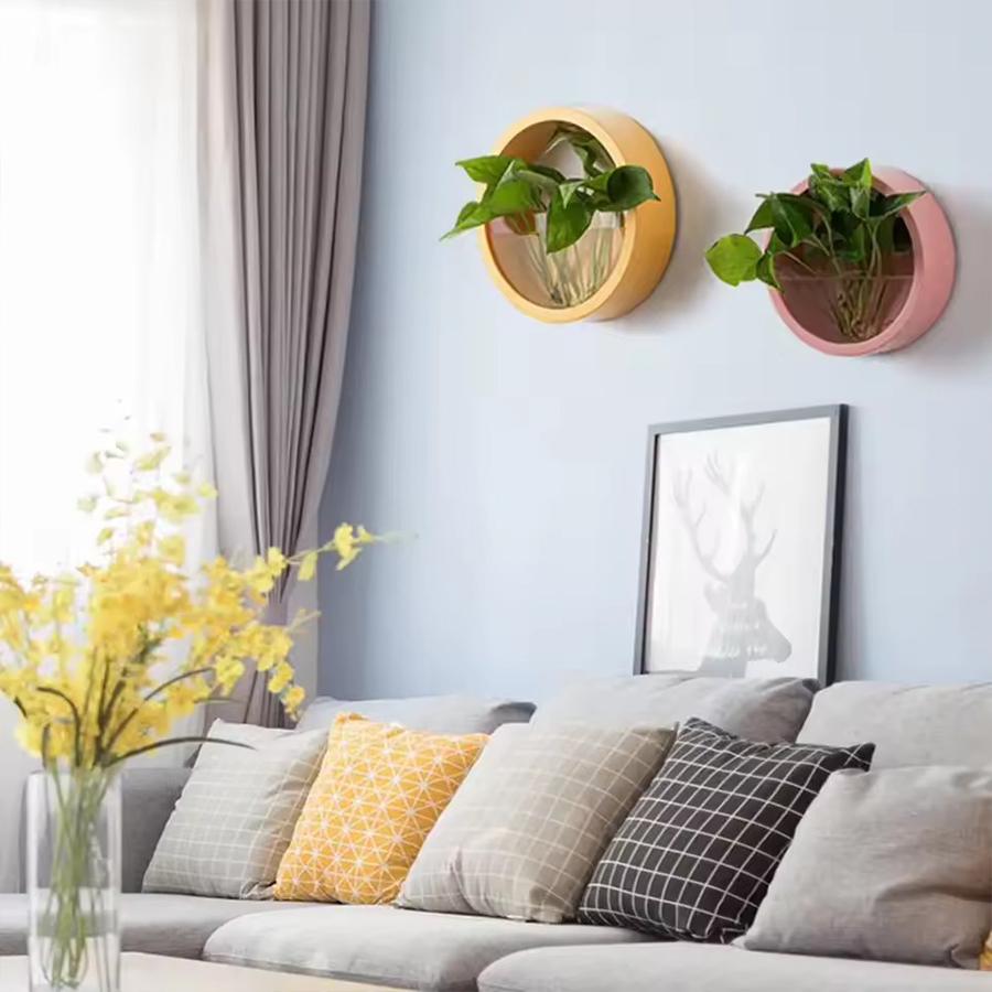 กระถางต้นไม้ติดผนังทรงกลม 3 สี - Snake Plant Ceramic บทวิจารณ์และราคา