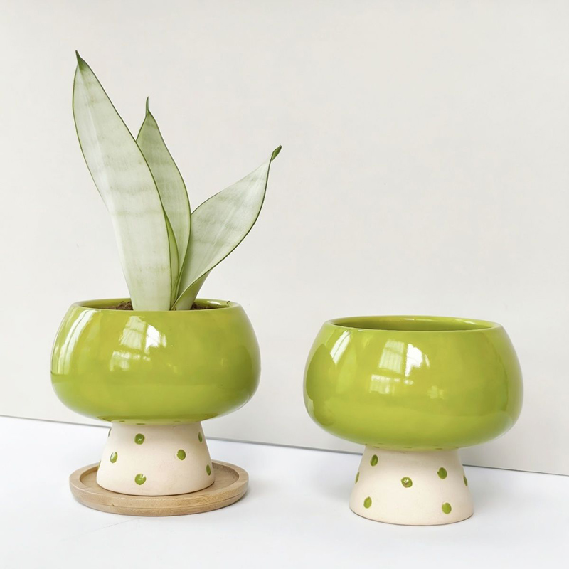 กระถางดอกไม้เซรามิกสไตล์มินิมอ - Snake Plant Ceramic บทวิจารณ์และราคา
