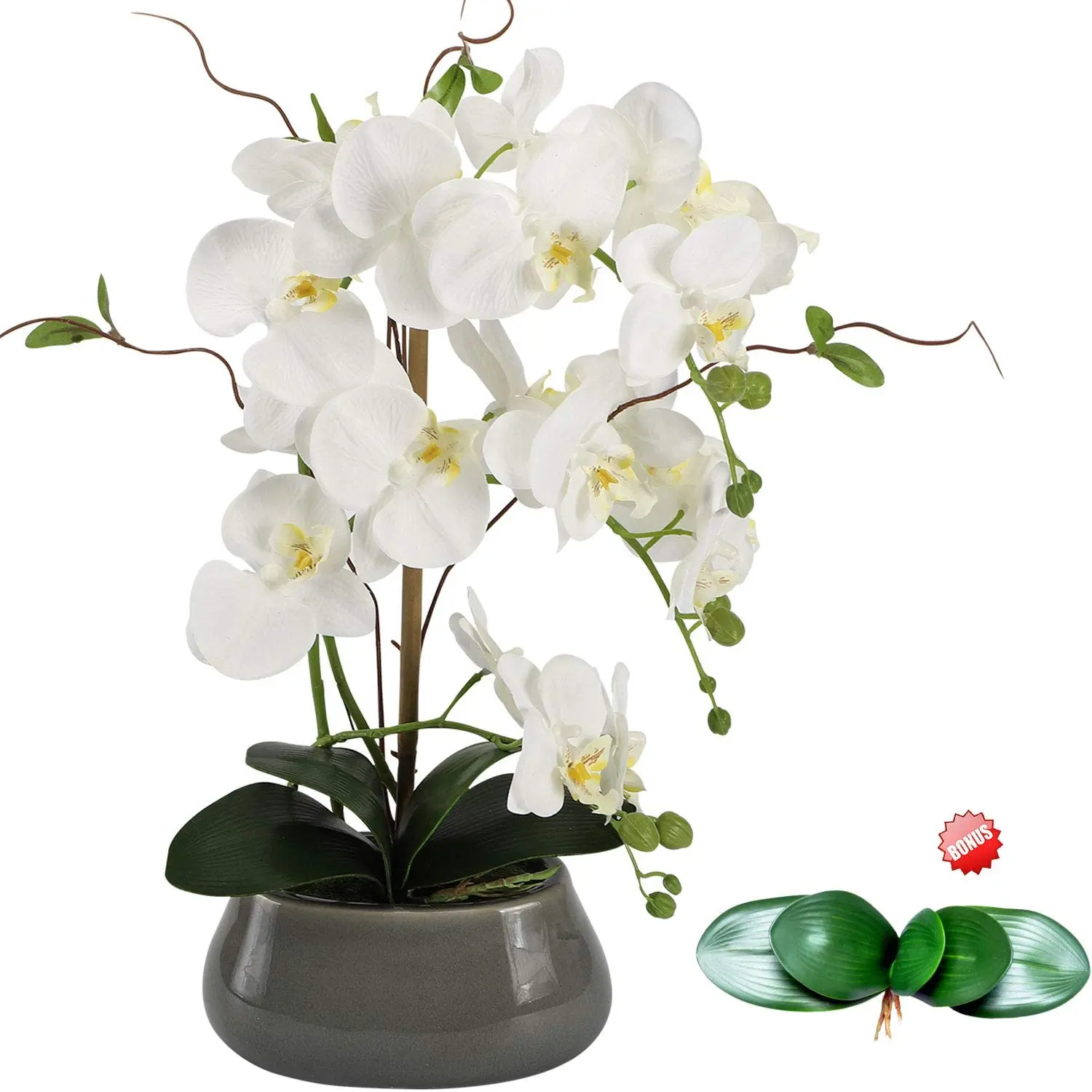 แกนกลางดอกไม้กล้วยไม้เทียมสำหร - Orchid Phalaenopsis บทวิจารณ์และราคา