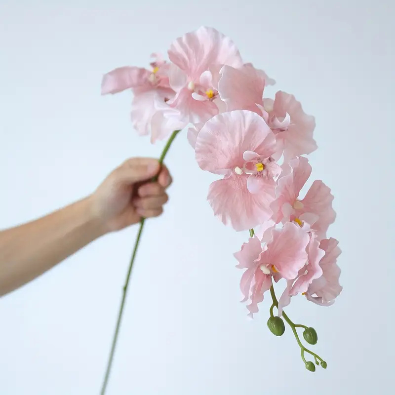 ดอกกล้วยไม้ประดิษฐ์แบบกิ่งยาว  - Orchid Phalaenopsis บทวิจารณ์และราคา