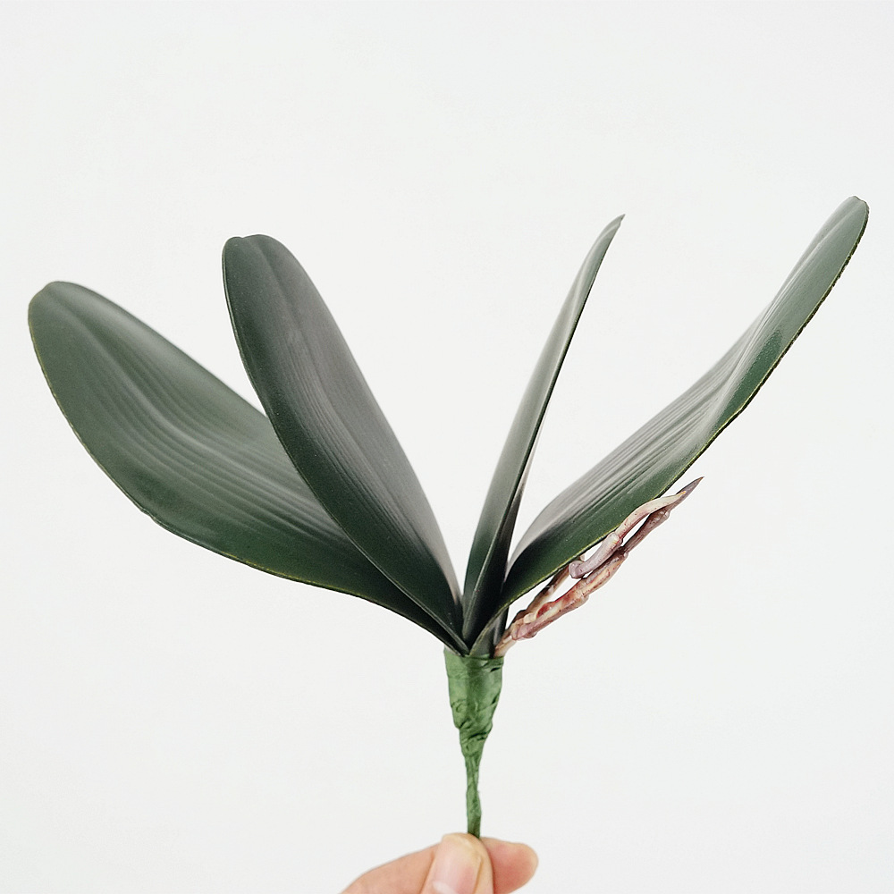 3 PC Eva จําลอง Phalaenopsis ใ - Orchid Phalaenopsis บทวิจารณ์และราคา