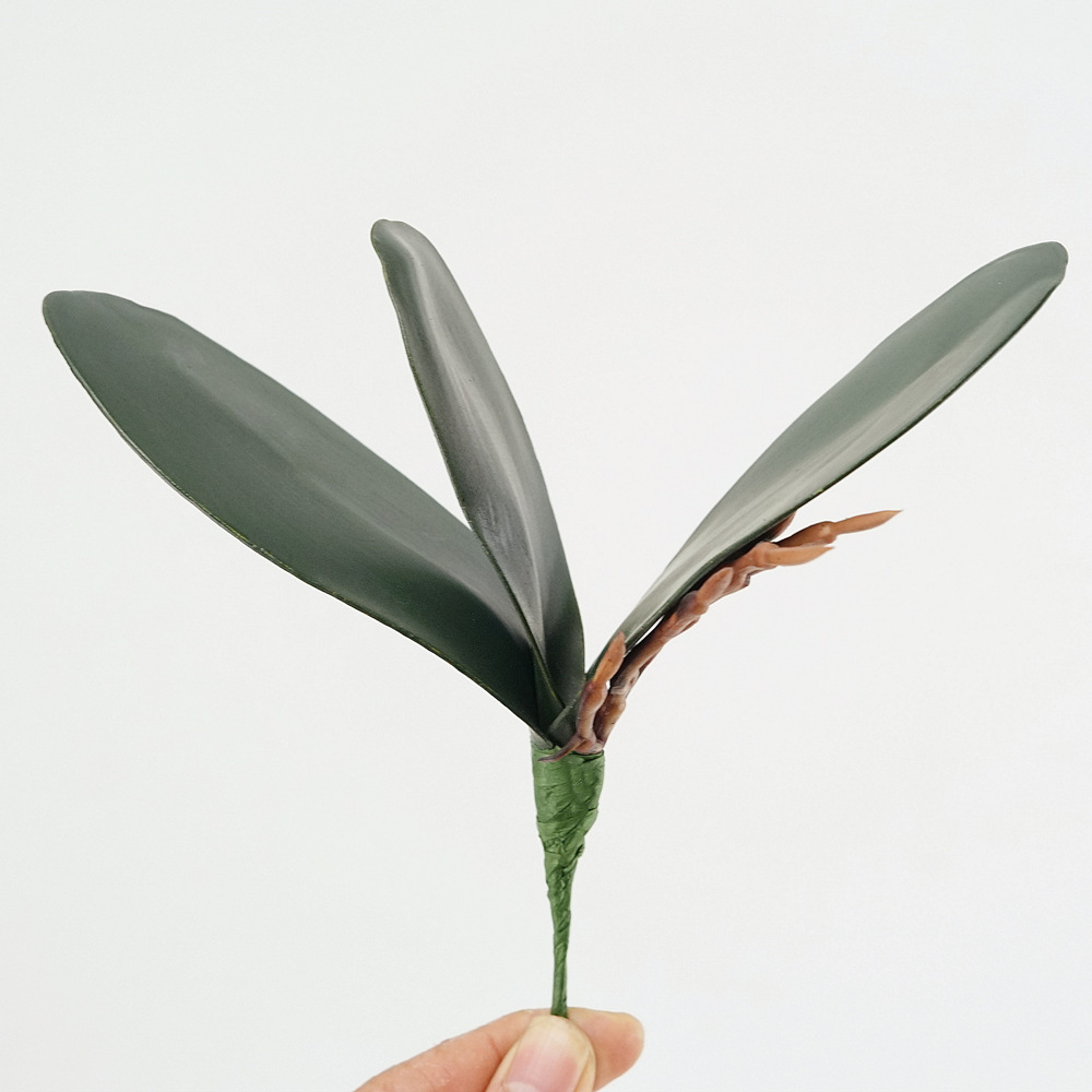 3 PC Eva จําลอง Phalaenopsis ใ - Orchid Phalaenopsis บทวิจารณ์และราคา