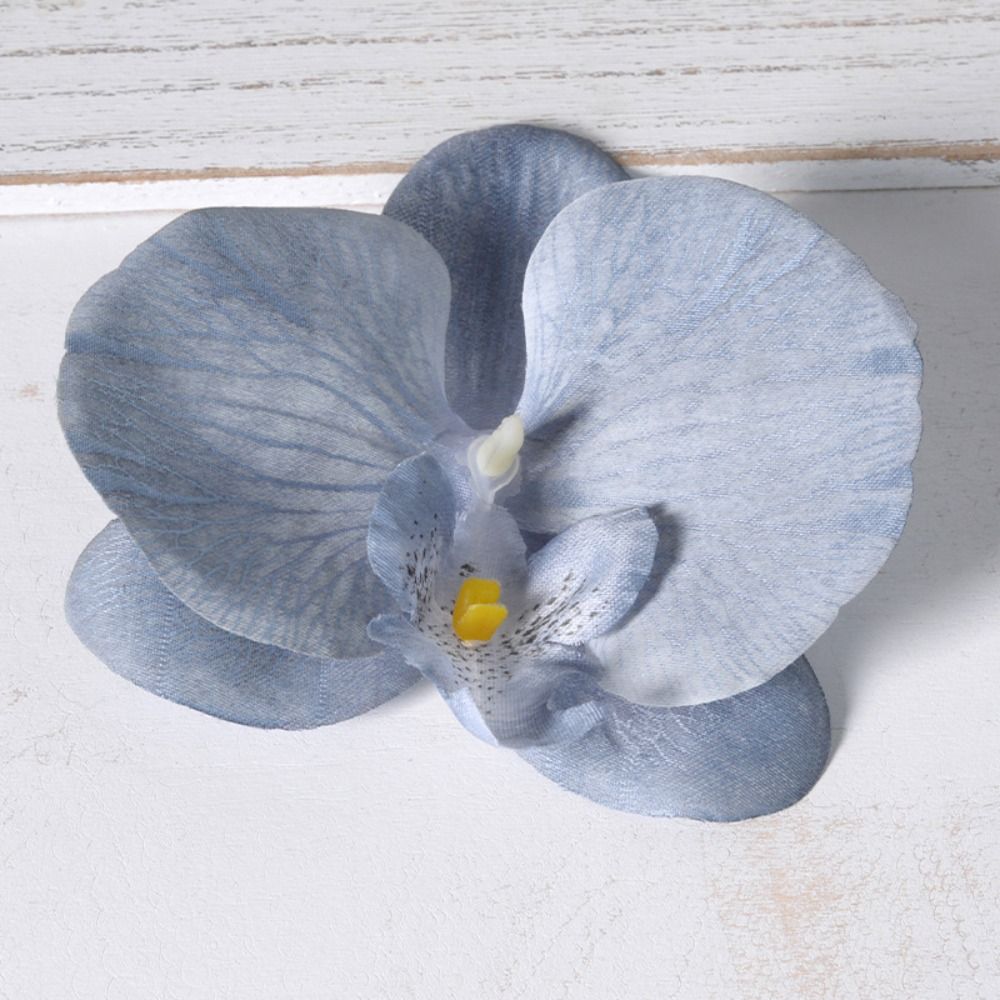 ดอกกล้วยไม้ฟาแลนนอปซิส DIY ขนา - Orchid Phalaenopsis บทวิจารณ์และราคา