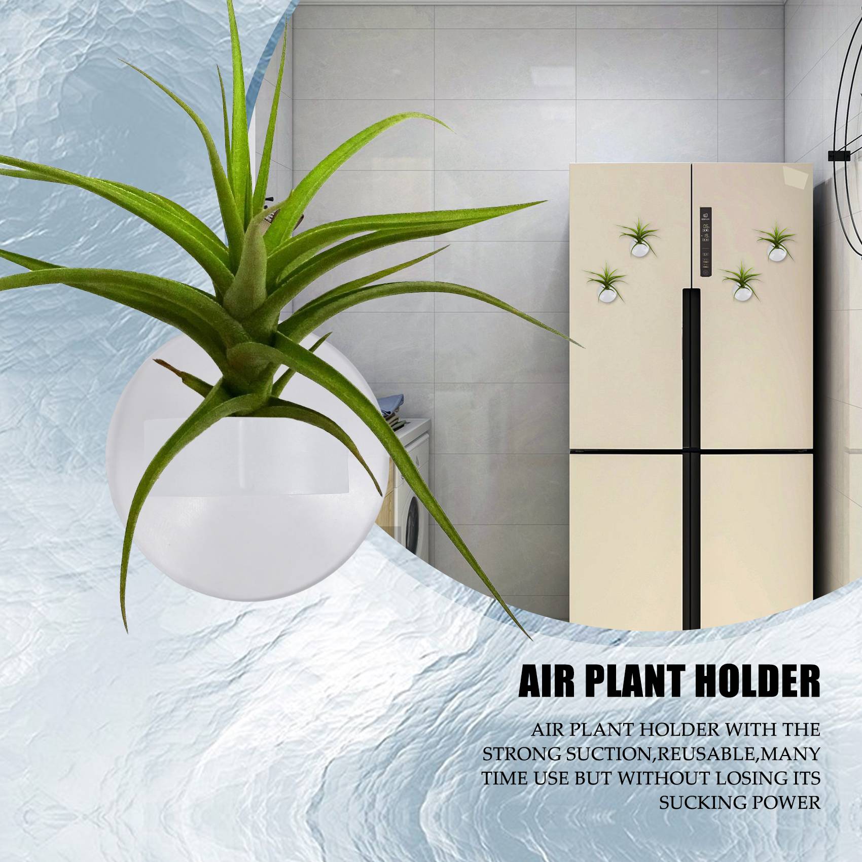 AC76-20 ชิ้น ที่แขวนต้นไม้แบบต - Air Plant Tillandsia บทวิจารณ์และราคา