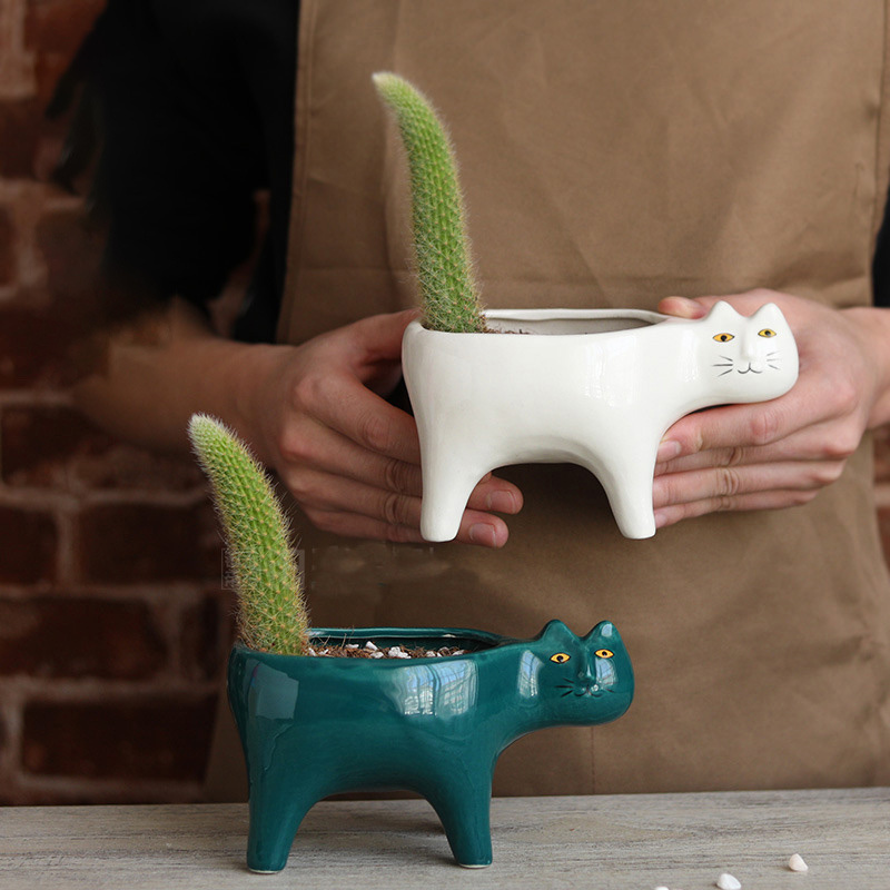 แมวน่ารักเซรามิคสวนดอกไม้หม้อภ - Snake Plant Ceramic บทวิจารณ์และราคา