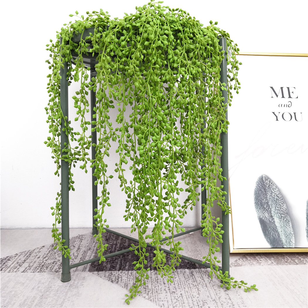 ประดิษฐ์ Vines แขวนผนังหวายใบส - String Of Pearls Plant บทวิจารณ์และราคา